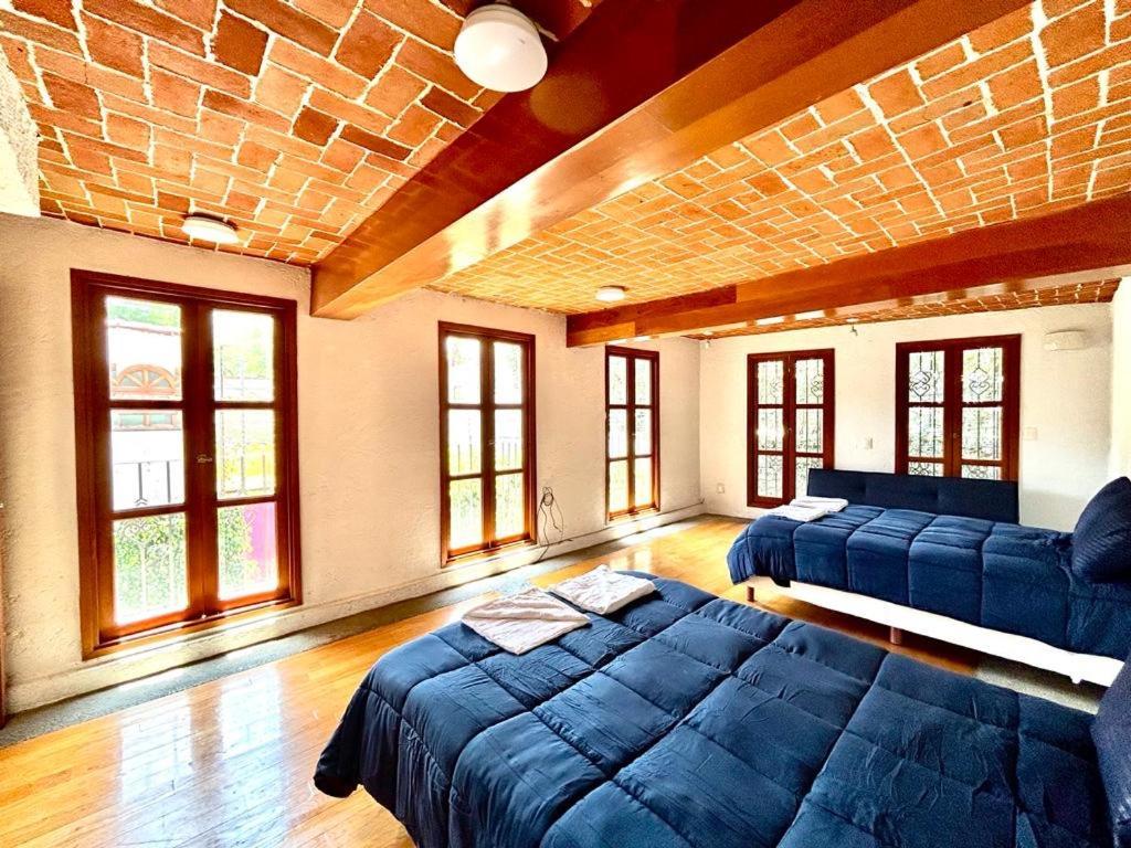 Casa Frida Coyoacan 墨西哥城 外观 照片