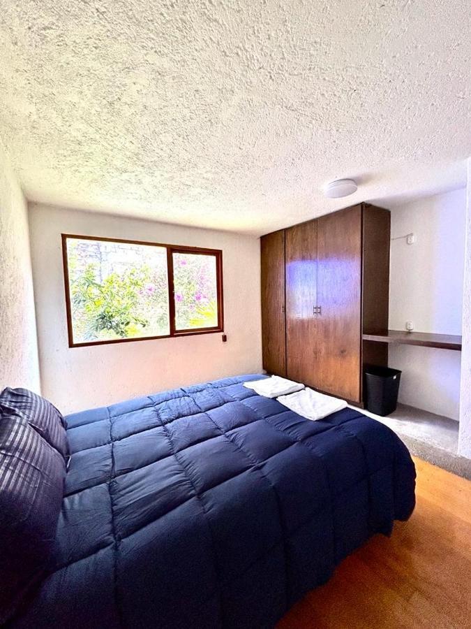 Casa Frida Coyoacan 墨西哥城 外观 照片