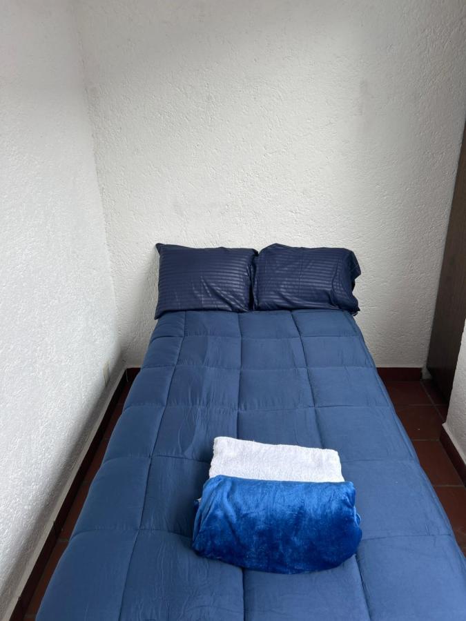 Casa Frida Coyoacan 墨西哥城 外观 照片
