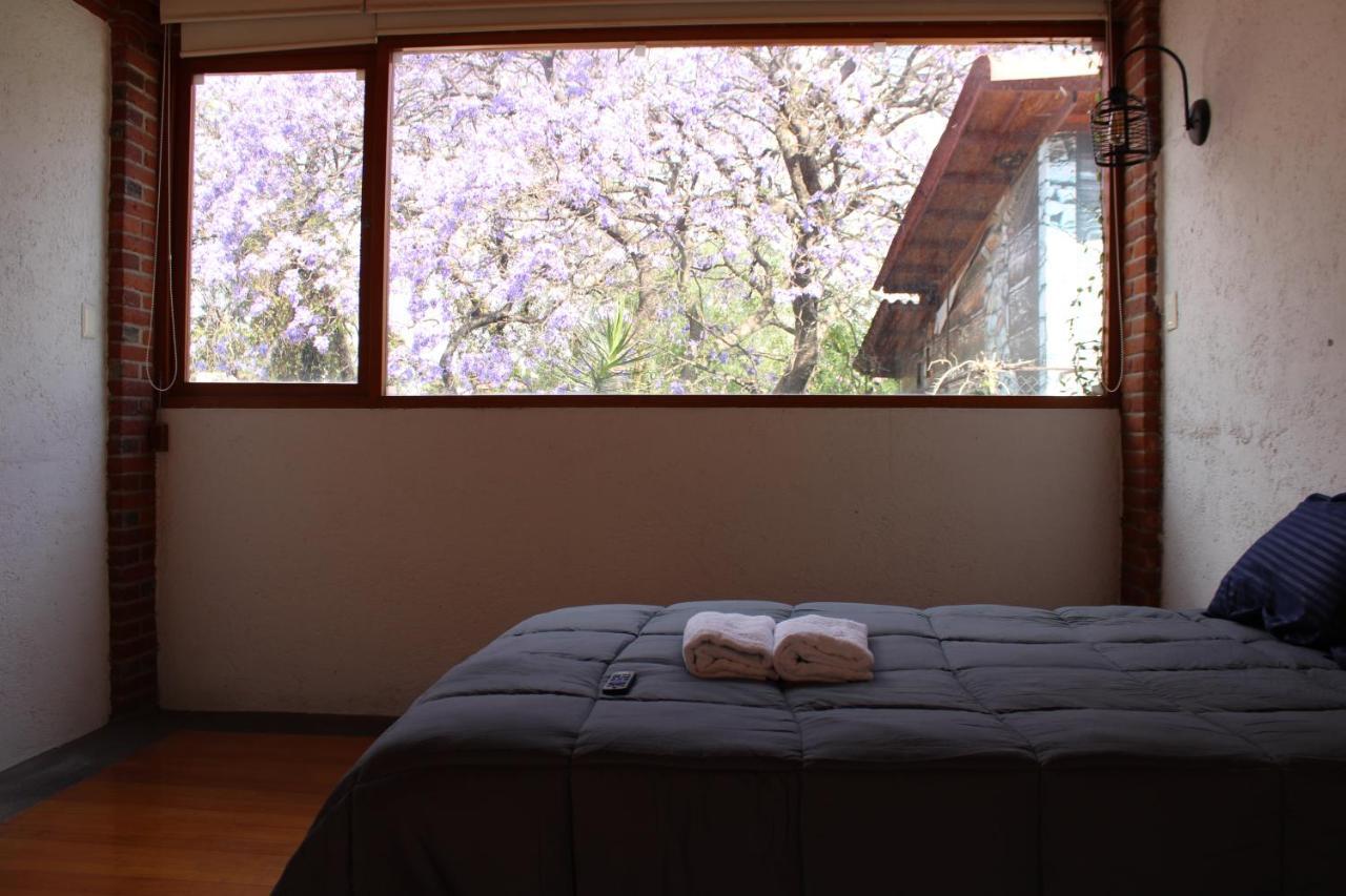 Casa Frida Coyoacan 墨西哥城 外观 照片